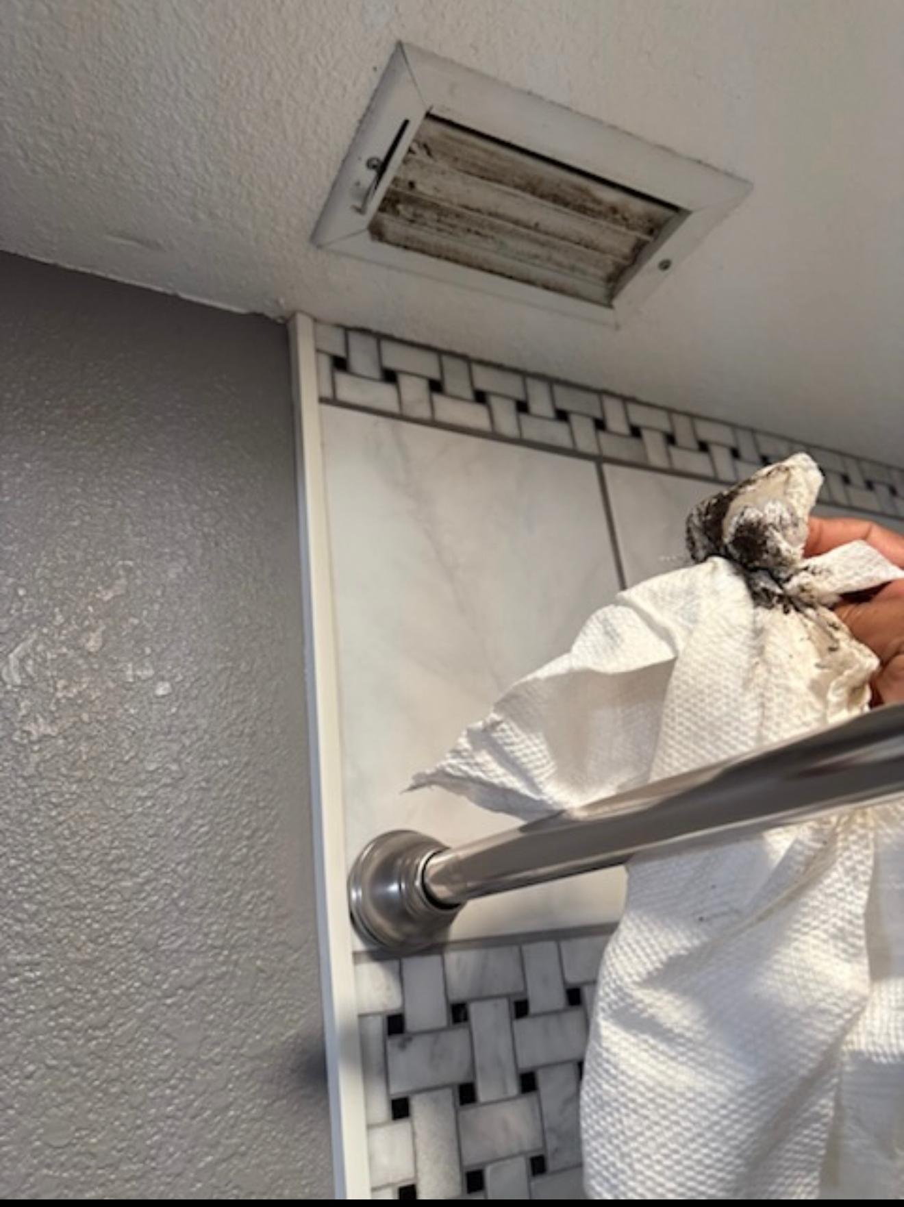 Bathroom vent before cleaning