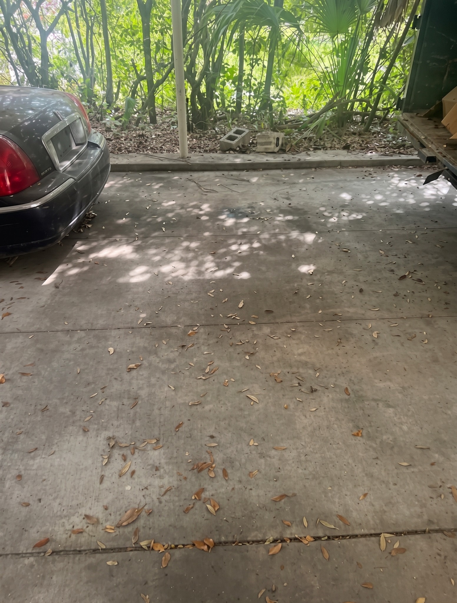 Property after junk removal