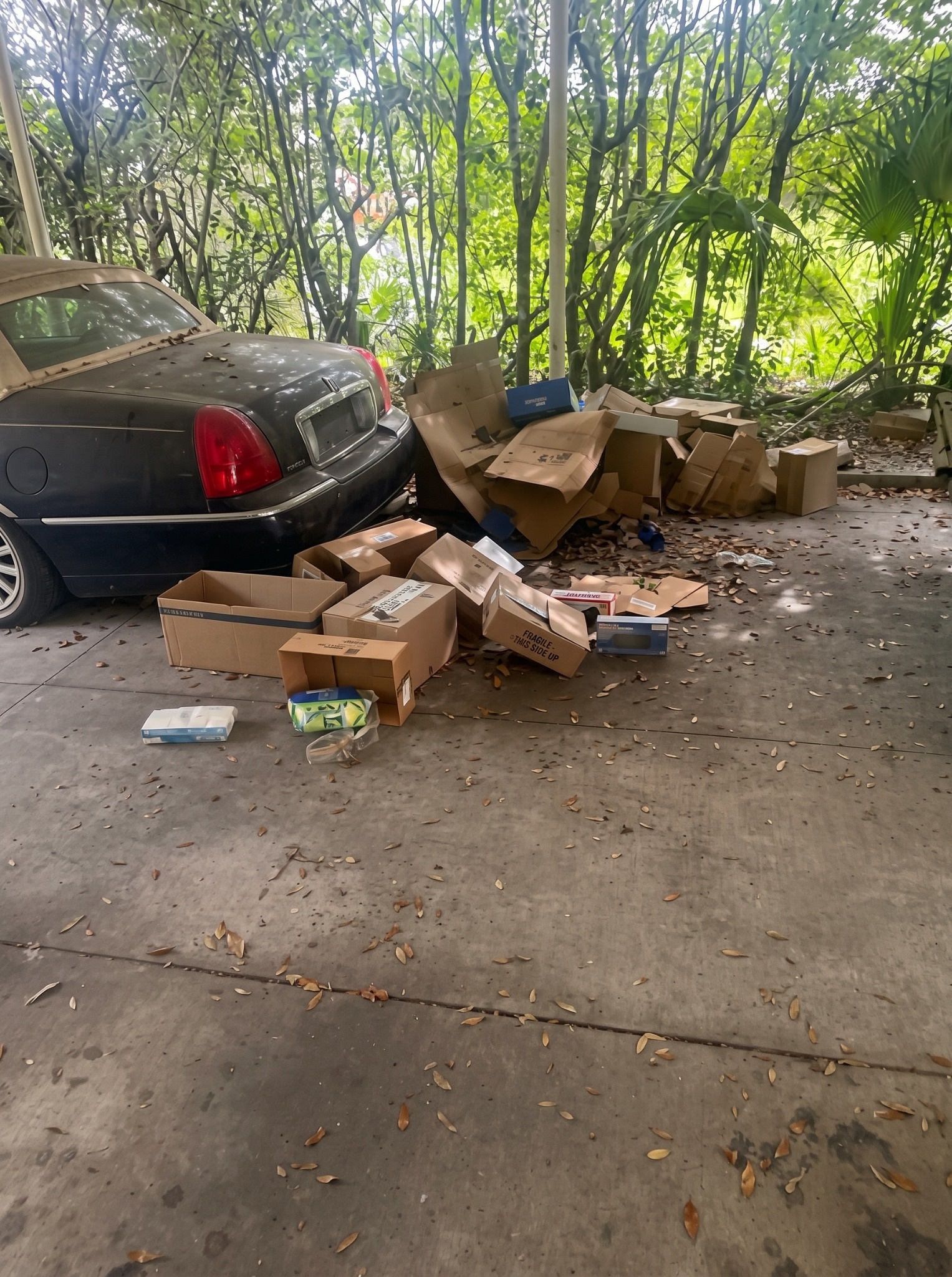 Property before junk removal